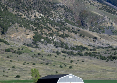 Gray barn-style storage shed with a white door door and trim